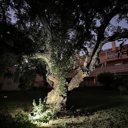 Piso-lechuza Elviria 2 Bedrooms 4 Guests Penthouse-maisonette In Elviria-marbella- Urb Jardines De Santa Maria Golf Appartement