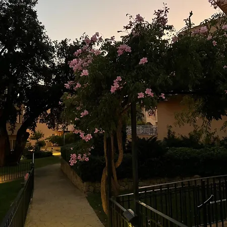 Piso-lechuza Elviria 2 Bedroom Penthouse-maisonette In Elviria-marbella- Urb Jardines De Santa Maria Golf Marbella